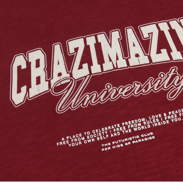 CZ UNIVERSITY SWEATER