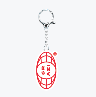 Crazi Company Keychain | Stainless Enamel