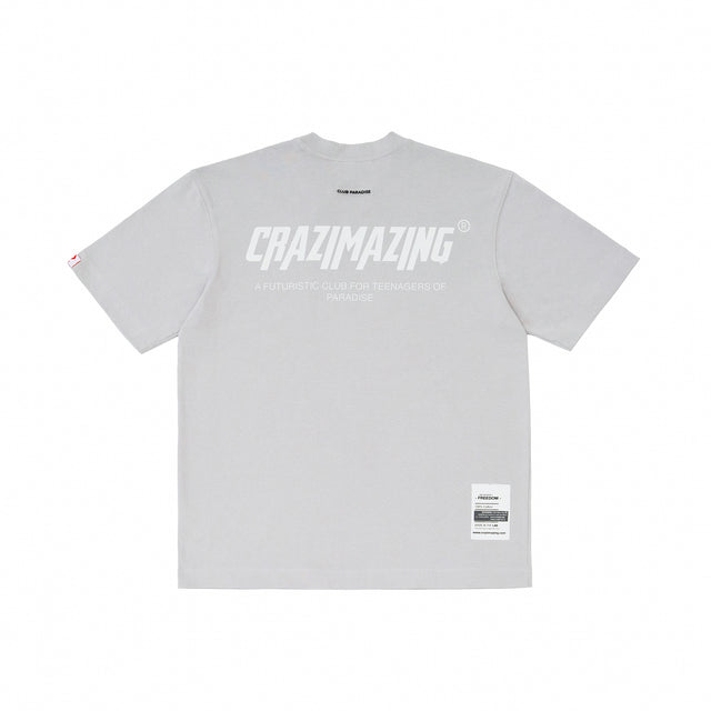Heavy Weight Tee | Smoke Grey