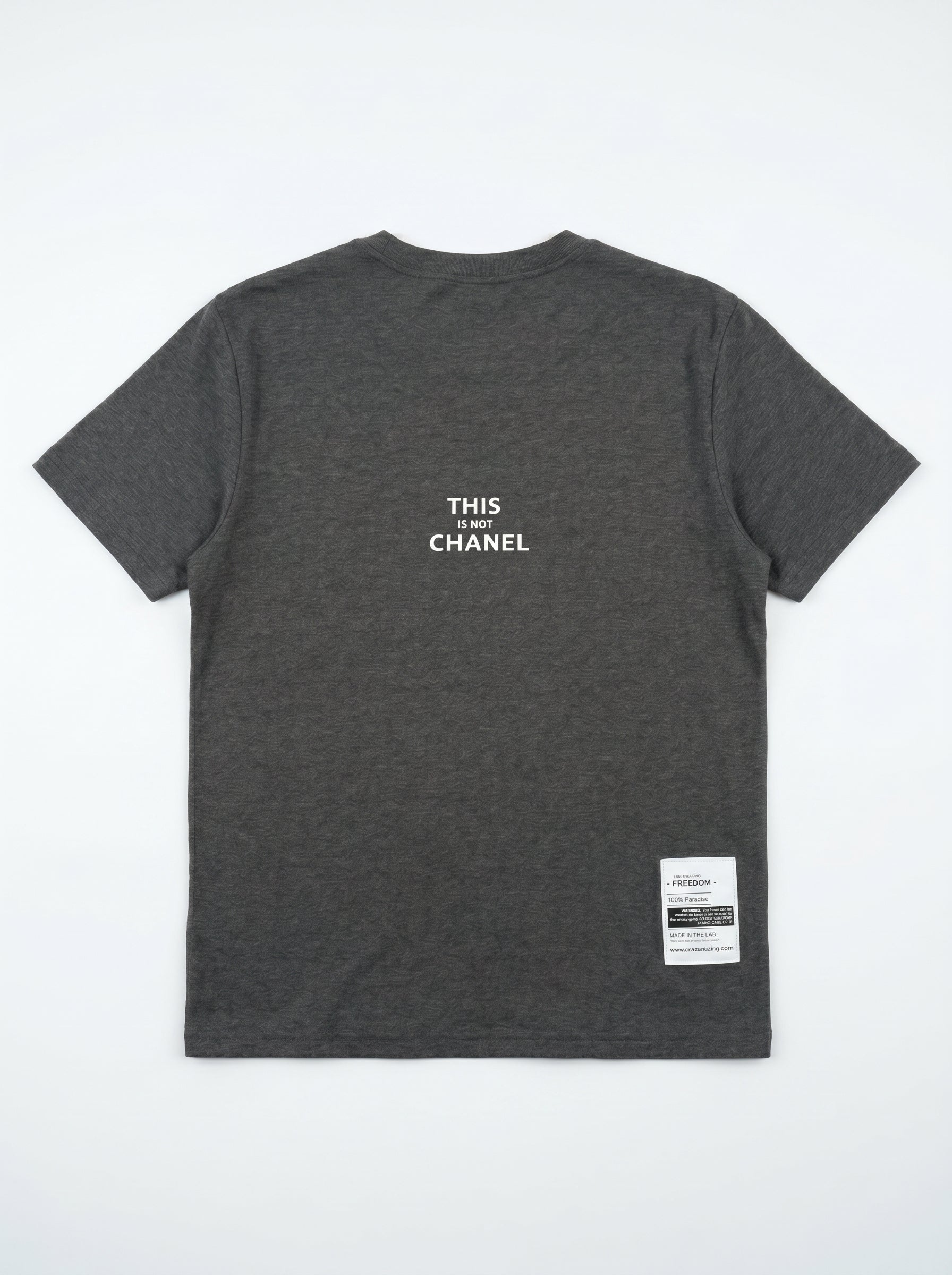 CHANEL Tシャツ This Is Not Chanel Ver.2 | Grey – crazimazing